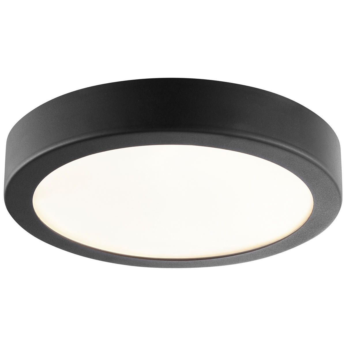 LED-DECKENLEUCHTE 25/4 cm   - Schwarz, Basics, Kunststoff/Metall (25/4cm) - Brilliant