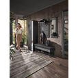 GARDEROBE 4-teilig  in 201/196/41 cm  - Anthrazit, Design, Glas/Holz (201/196/41cm) - Johann Jakob