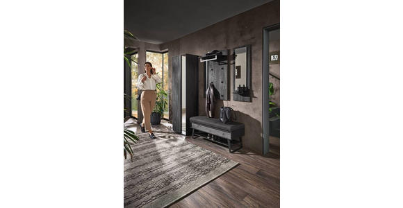 GARDEROBE 4-teilig  in 201/196/41 cm  - Anthrazit, Design, Glas/Holz (201/196/41cm) - Johann Jakob
