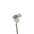 KUNSTBLUME - Altrosa/Weiß, Basics, Kunststoff (70cm) - Leonardo KUNSTBLUME - Altrosa/Weiß, Basics, Kunststoff (70cm) - Leonardo