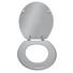 WC-SITZ Silberfarben - Silberfarben, Basics (38/5,5/46cm) WC-SITZ Silberfarben - Silberfarben, Basics (38/5,5/46cm)