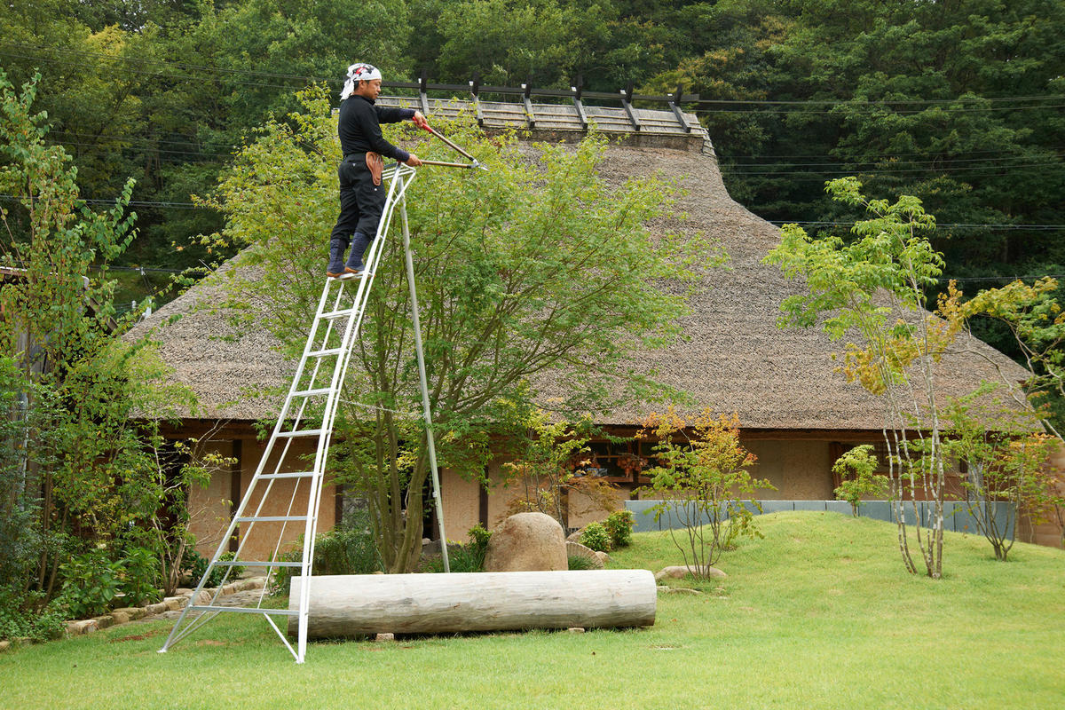LEITER - Silberfarben, Basics, Metall (272/360/147cm) - Ambia Garden