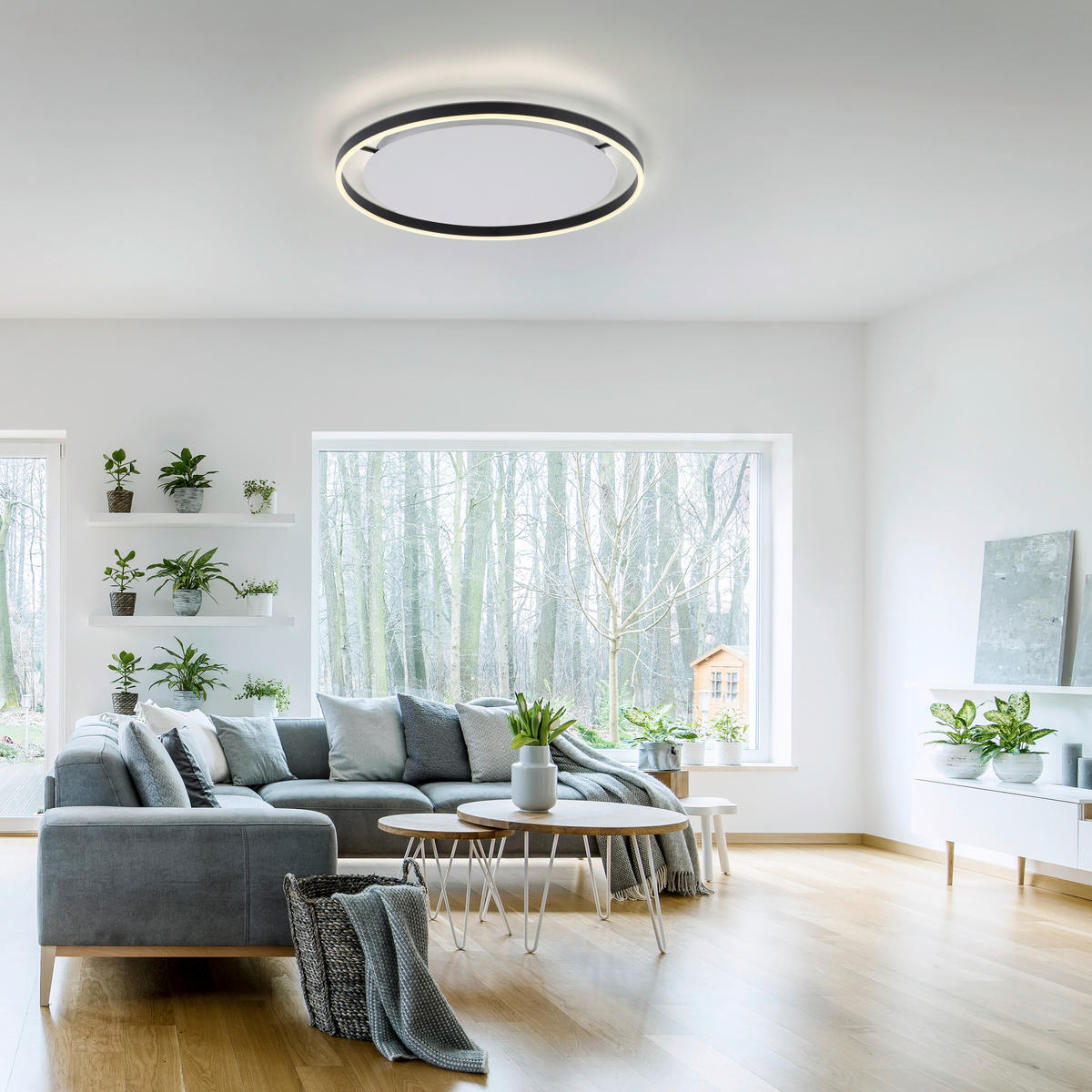 LED-DECKENLEUCHTE 58,5/58,5/5,3 cm   - Anthrazit, Design, Kunststoff/Metall (58,5/58,5/5,3cm)