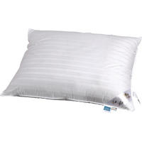 TŘÍKOMOROVÝ POLŠTÁŘ, 70/90 cm - bílá, Natur (70/90cm) - Sleeptex