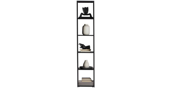 REGAL Schwarz - Schwarz, Trend, Kunststoff/Metall (37/188/30cm) - Carryhome