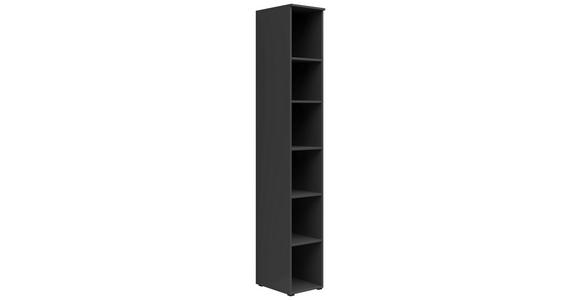 REGAL Graphitfarben - Anthrazit/Graphitfarben, MODERN, Holzwerkstoff/Kunststoff (30/195/40cm) - Carryhome