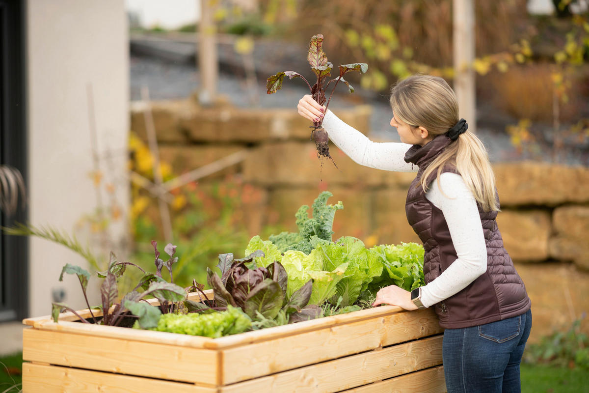 VYVÝŠENÝ ZÁHON   - farba smreka, Basics, drevo (70/90/170cm)