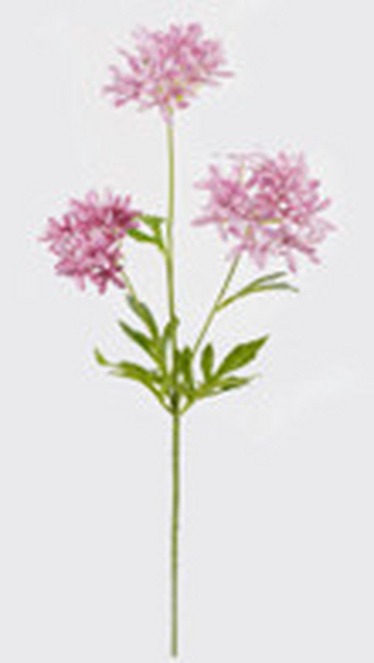 MŰNÖVÉNY - pink/zöld, Basics, műanyag