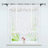 RAFFROLLO  transparent  100/140 cm    - Transparent, Basics, Textil (100/140cm)