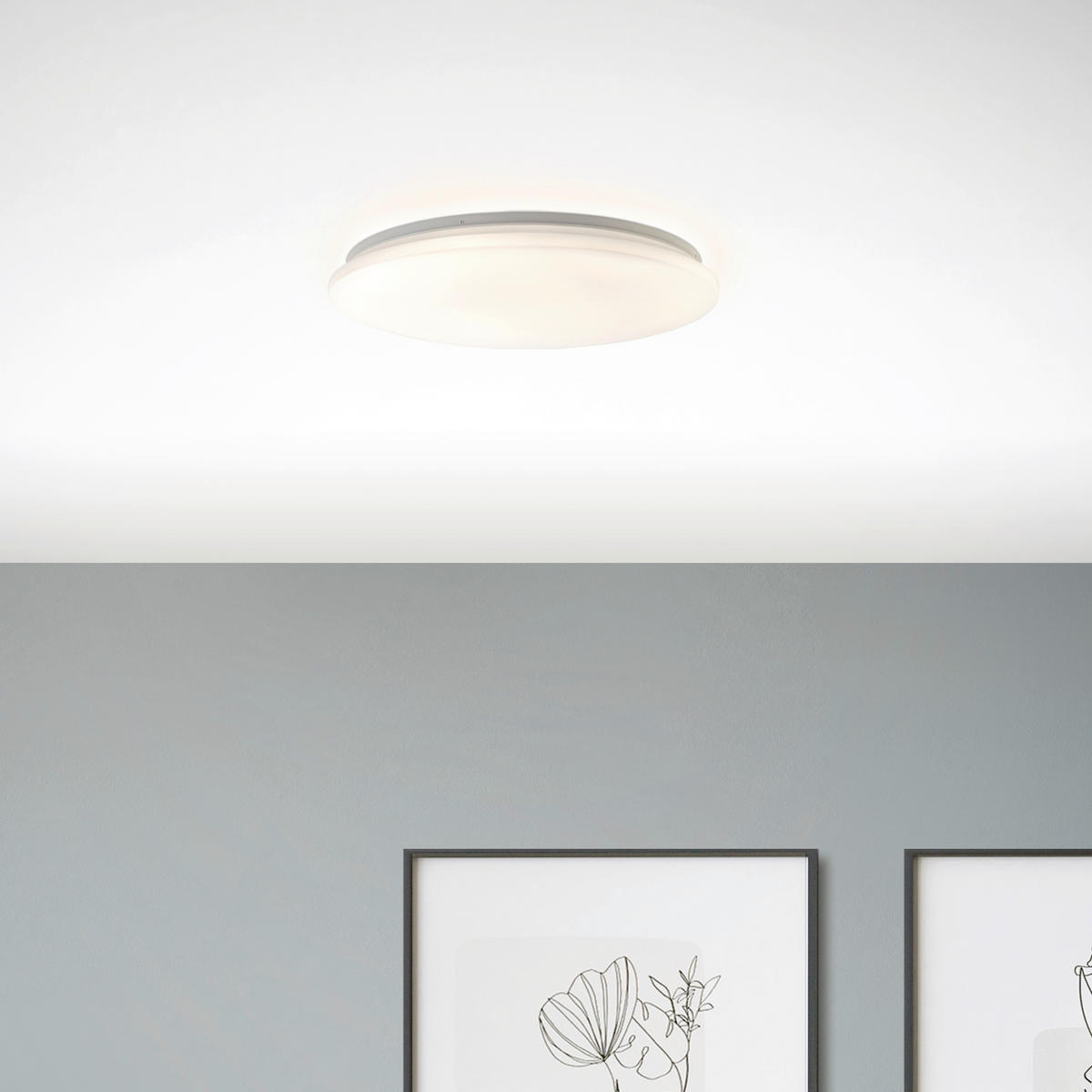 LED-DECKENLEUCHTE 49/7 cm   - Weiß, Basics, Kunststoff/Metall (49/7cm) - Brilliant
