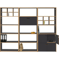 REGAL Anthrazit, Buchefarben  - Anthrazit/Buchefarben, MODERN, Holzwerkstoff (228/179,1/32cm) - Tojo