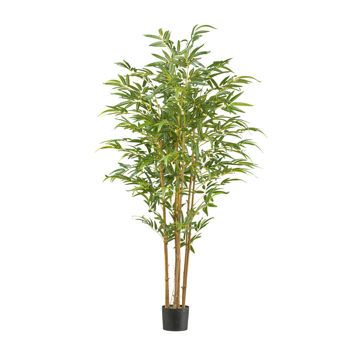 KUNSTPFLANZE Bambus 180 cm  - Schwarz/Naturfarben, Basics, Naturmaterialien/Kunststoff (180cm) - P & B