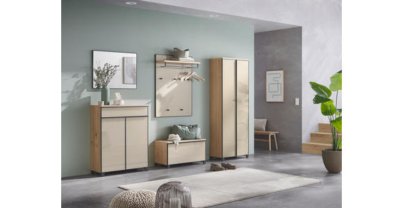 GARDEROBENPANEEL  in 80/109/27 cm  - Eichefarben/Anthrazit, Design, Glas/Holz (80/109/27cm) - Dieter Knoll