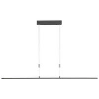 LED-HÄNGELEUCHTE 6/160 cm  - Schwarz, Design, Metall (6/160cm)