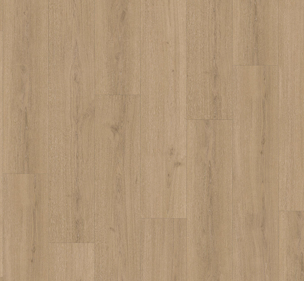 VINYLBODEN Vinyl Basic 5.3  per  m² - Eichefarben, Basics, Kunststoff (120.9/22.5/0.53cm) - Parador