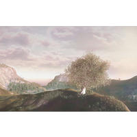 VLIESTAPETE 2,5 m  - Multicolor, Basics (400/250cm) - Xora