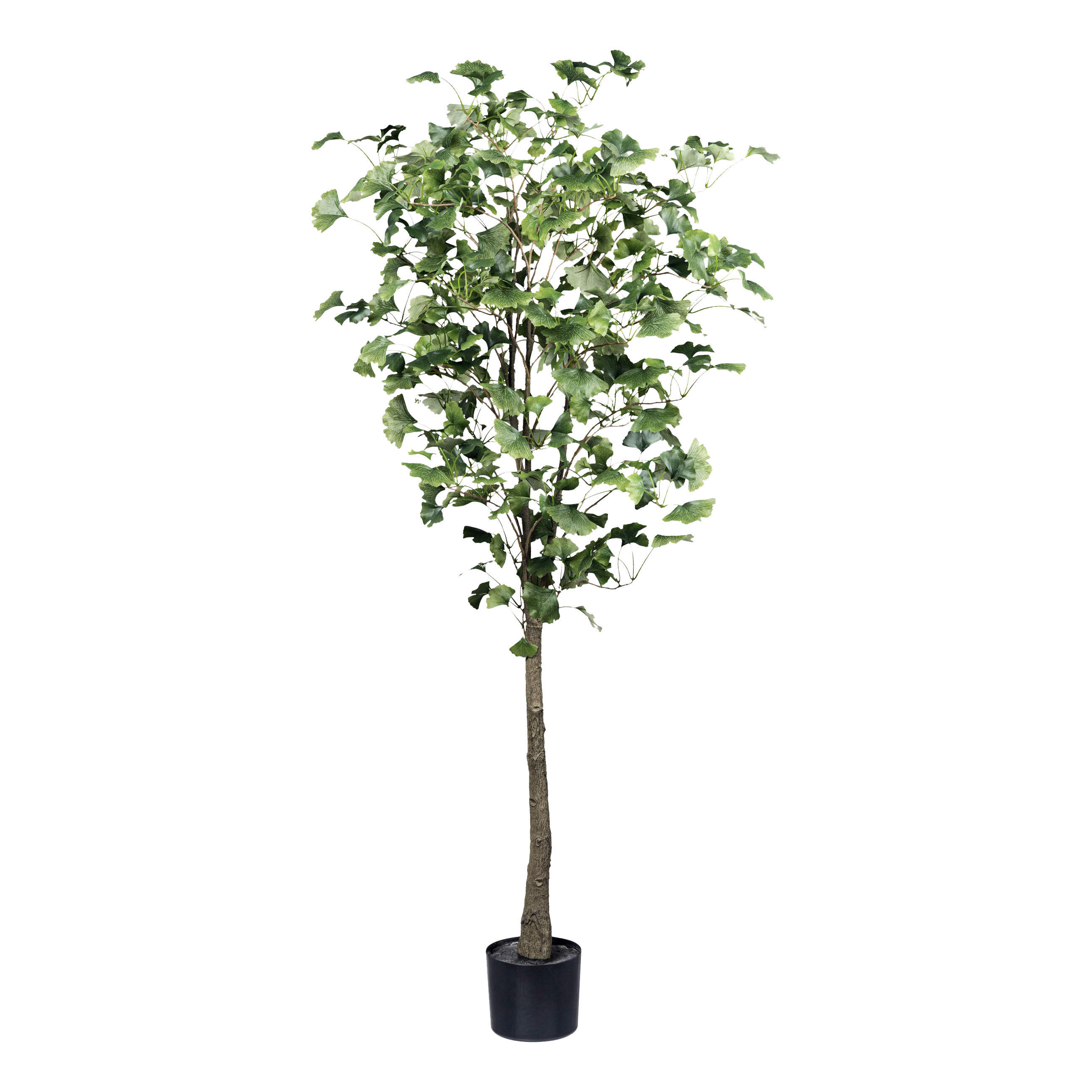 KUNSTPFLANZE 150 cm  - Schwarz/Braun, Basics, Kunststoff (150cm)