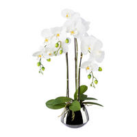 KUNSTPFLANZE Orchidee 55 cm  - Silberfarben/Weiß, Design, Keramik/Kunststoff (55cm) - P & B