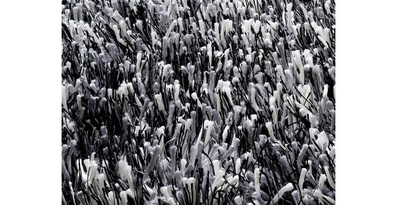 WEBTEPPICH 200/290 cm Schwarz, Weiß - Schwarz/Weiß, Basics, Textil (200/290cm) - Novel