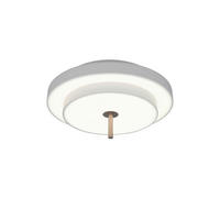 PLAFONIERĂ CU LED - gri, Lifestyle, metal (40/20cm)