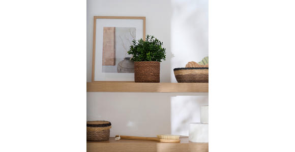 WANDBOARD Holzwerkstoff Eiche Artisan  - Eiche Artisan, Basics, Holzwerkstoff (110/5/25cm) - Xora