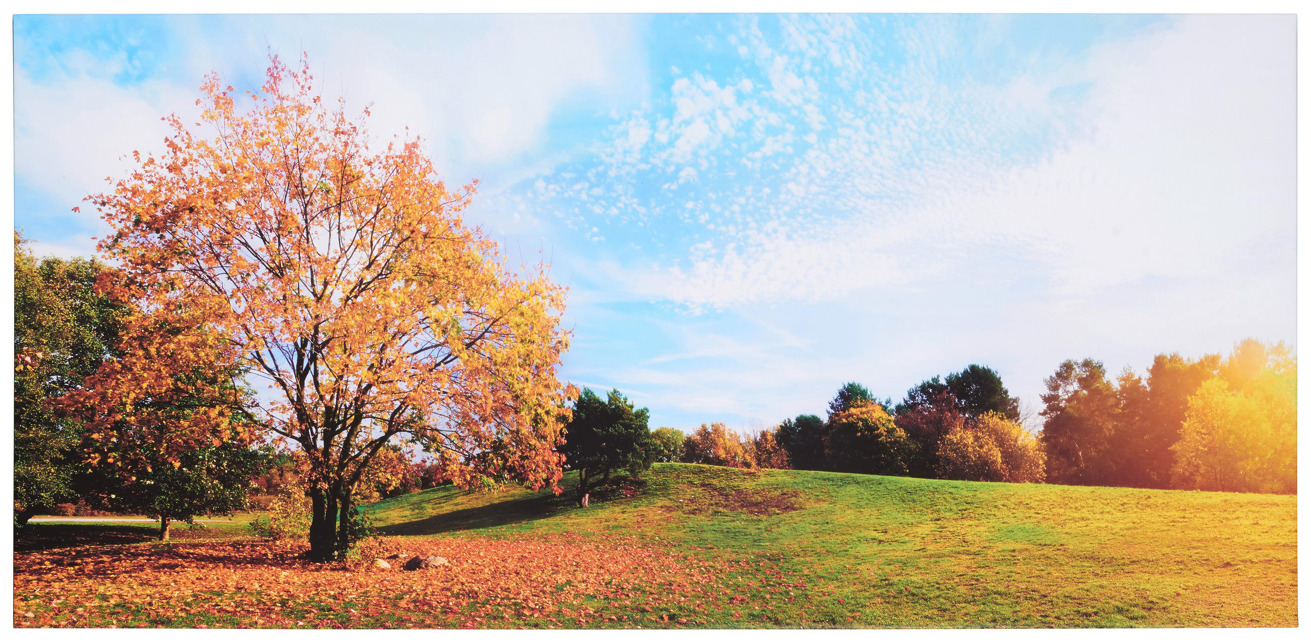 Keilrahmenbild 115/55/3 cm