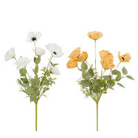 MAK  - boje marelice/bijela, Basics (53cm)