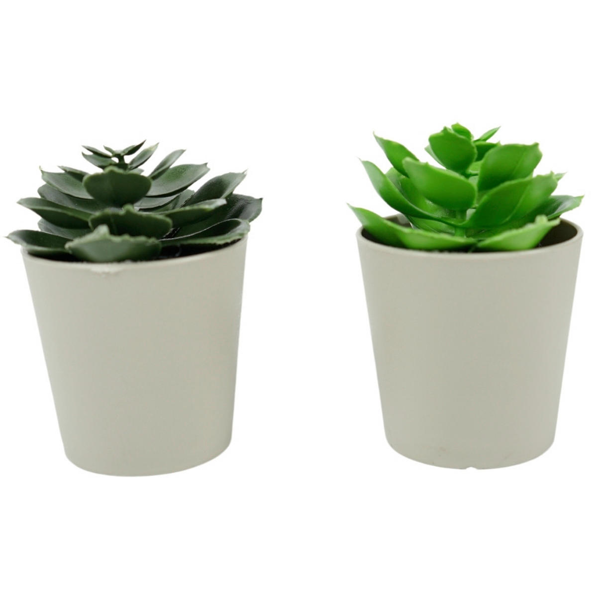 CVIJET UMJETNI  - zelena/bež, Basics, plastika (6,5/6,5/10cm)