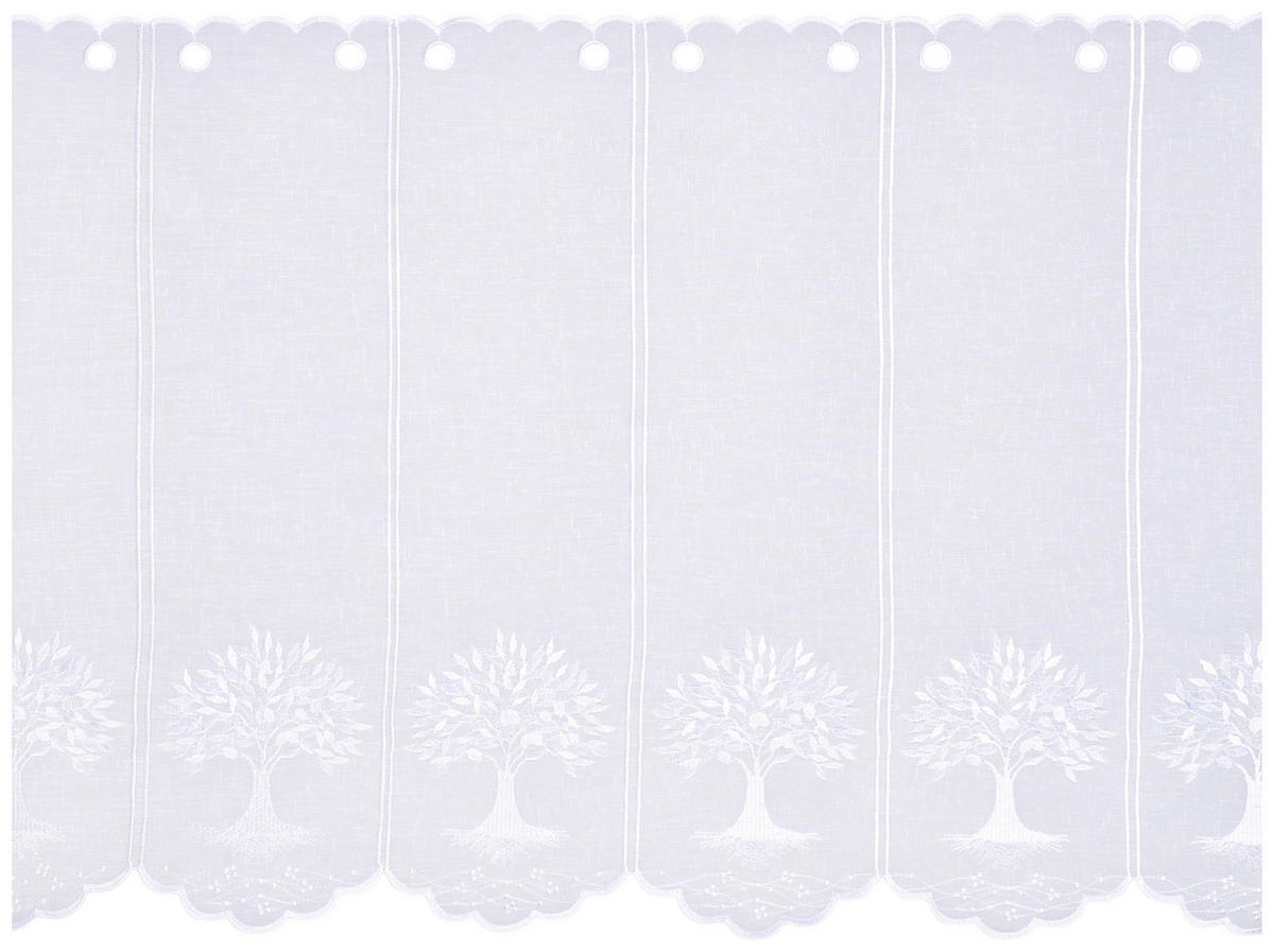 KURZGARDINE - Weiss, Konventionell, Textil (60cm) - Esposa