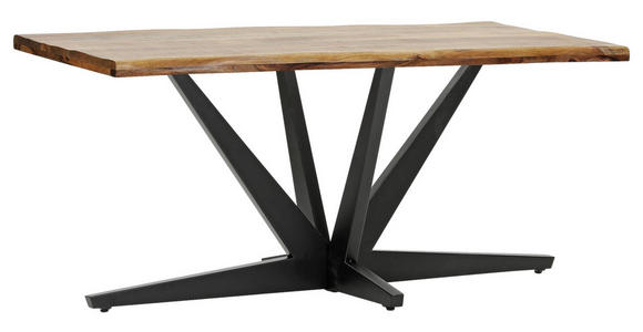 TISCHGESTELL Schwarz   - Schwarz, Design, Metall (160/80/73cm) - Landscape