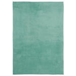 HOCHFLORTEPPICH Cosy  Cosy  - Mintgrün, Basics, Textil (67/110cm) - Boxxx