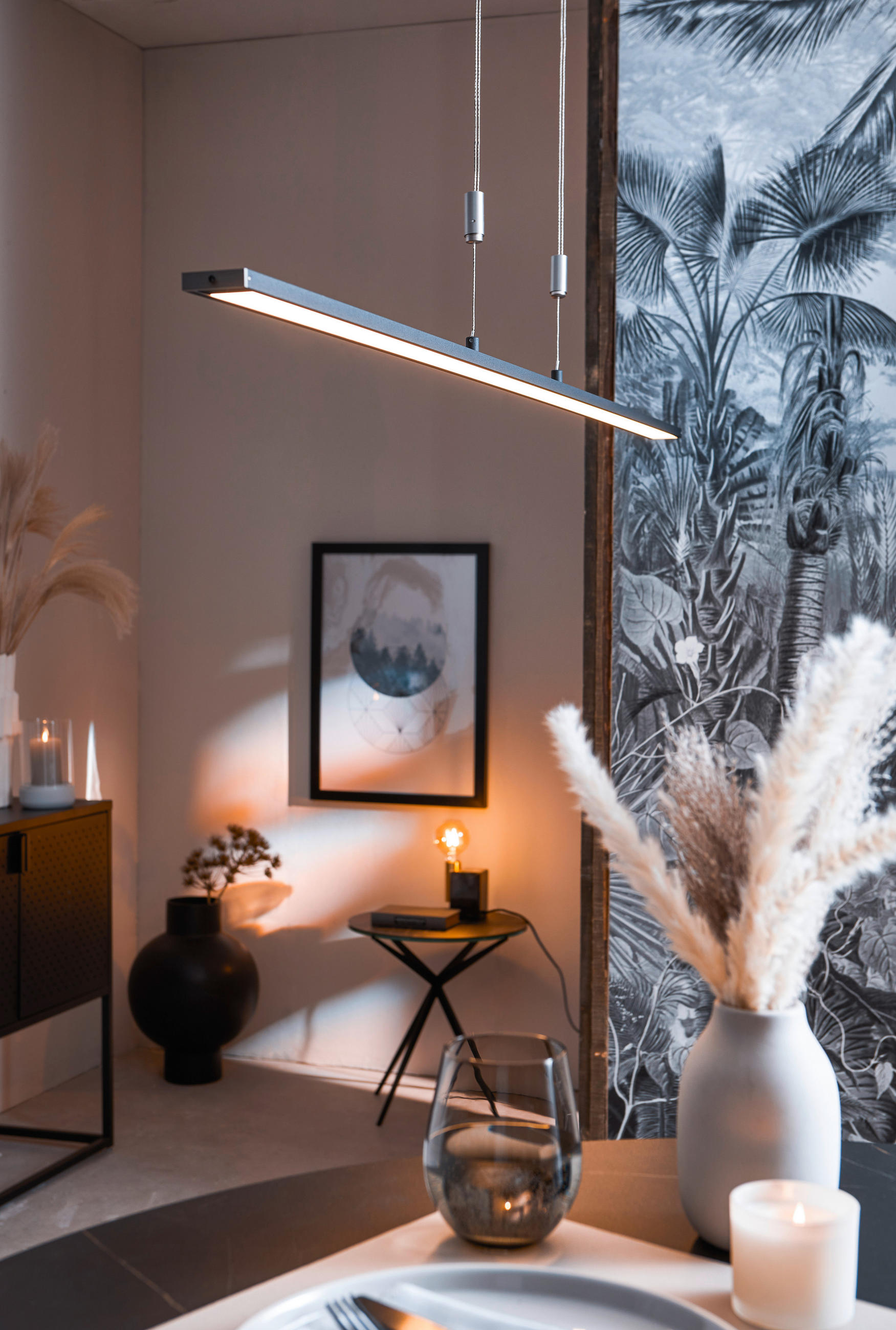 LED-HÄNGELEUCHTE    - Schwarz, Design, Metall (6/160cm) - Fischer & Honsel