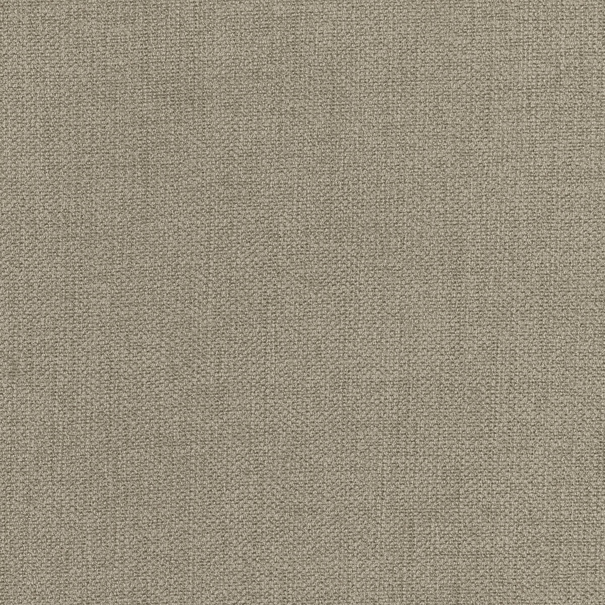 HOTOVÝ ZÁVĚS, neprůsvitné, 140/260 cm - šedohnědá, Design, textil (140/260cm) - Dieter Knoll