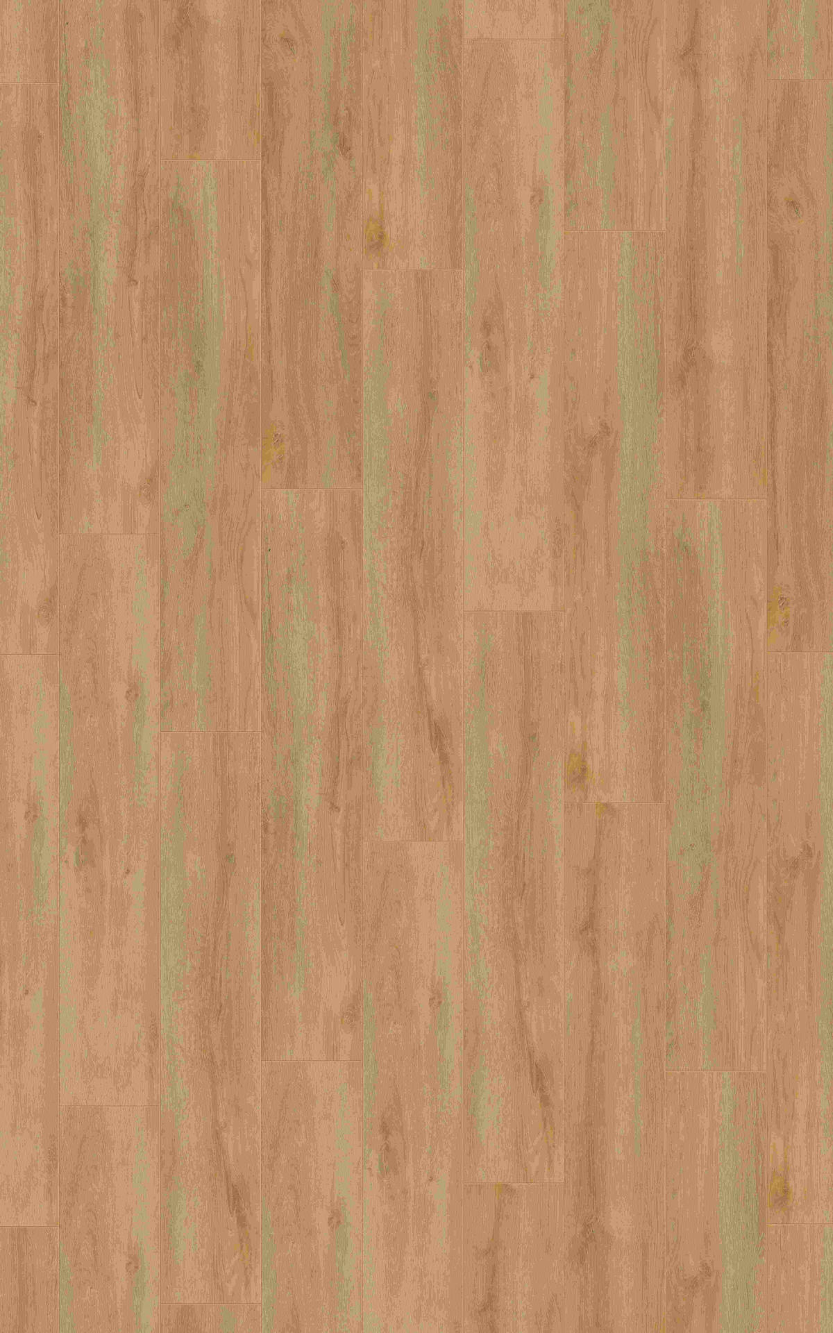 LAMINATBODEN Eiche Montafon Venda Atlas  per  m² - Eichefarben, KONVENTIONELL, Holzwerkstoff (138/24,4/0,8cm) - Venda