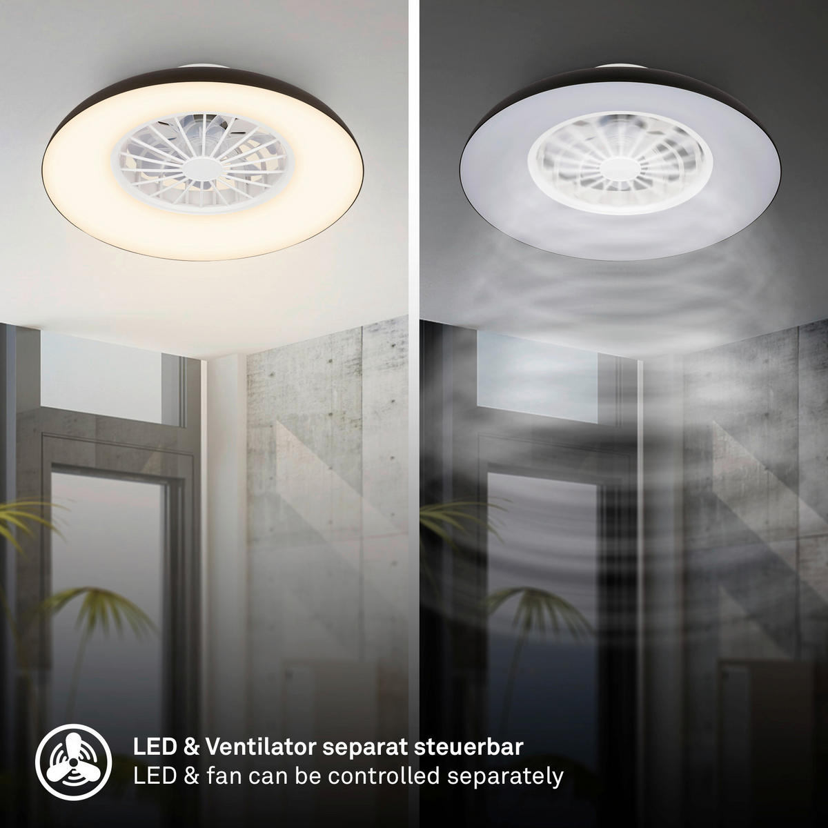 Deckenleuchte mit Ventilator 48,5/16 cm  - Schwarz/Weiß, Design, Kunststoff (48,5/16cm)