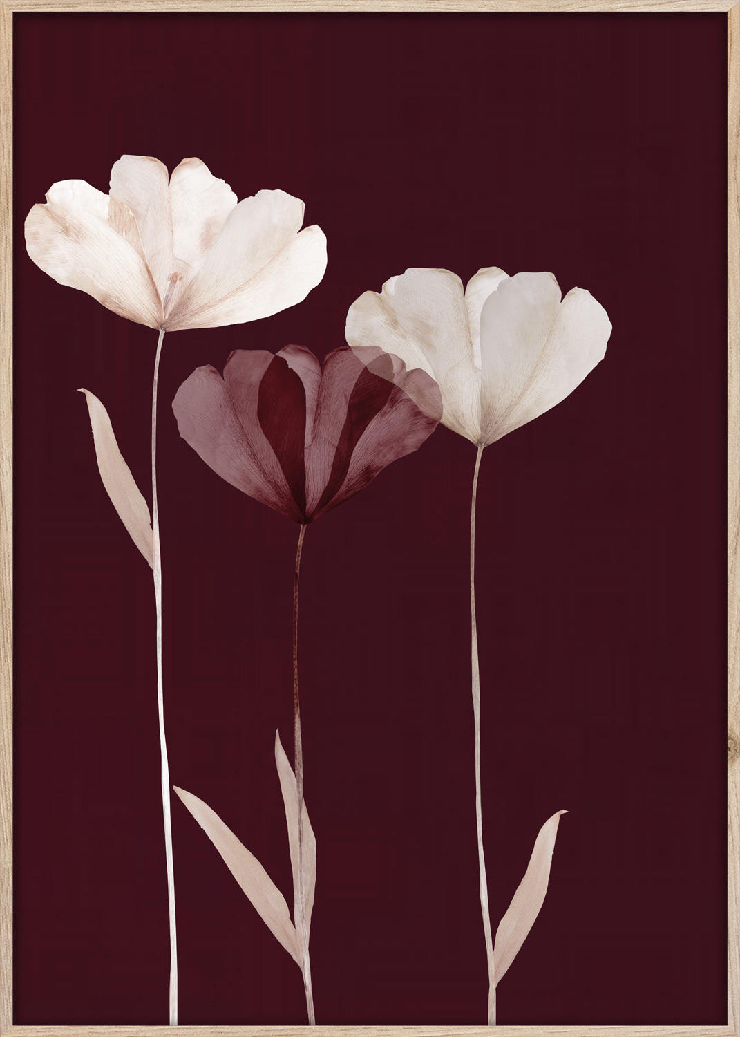 Keilrahmenbild 50/70 cm