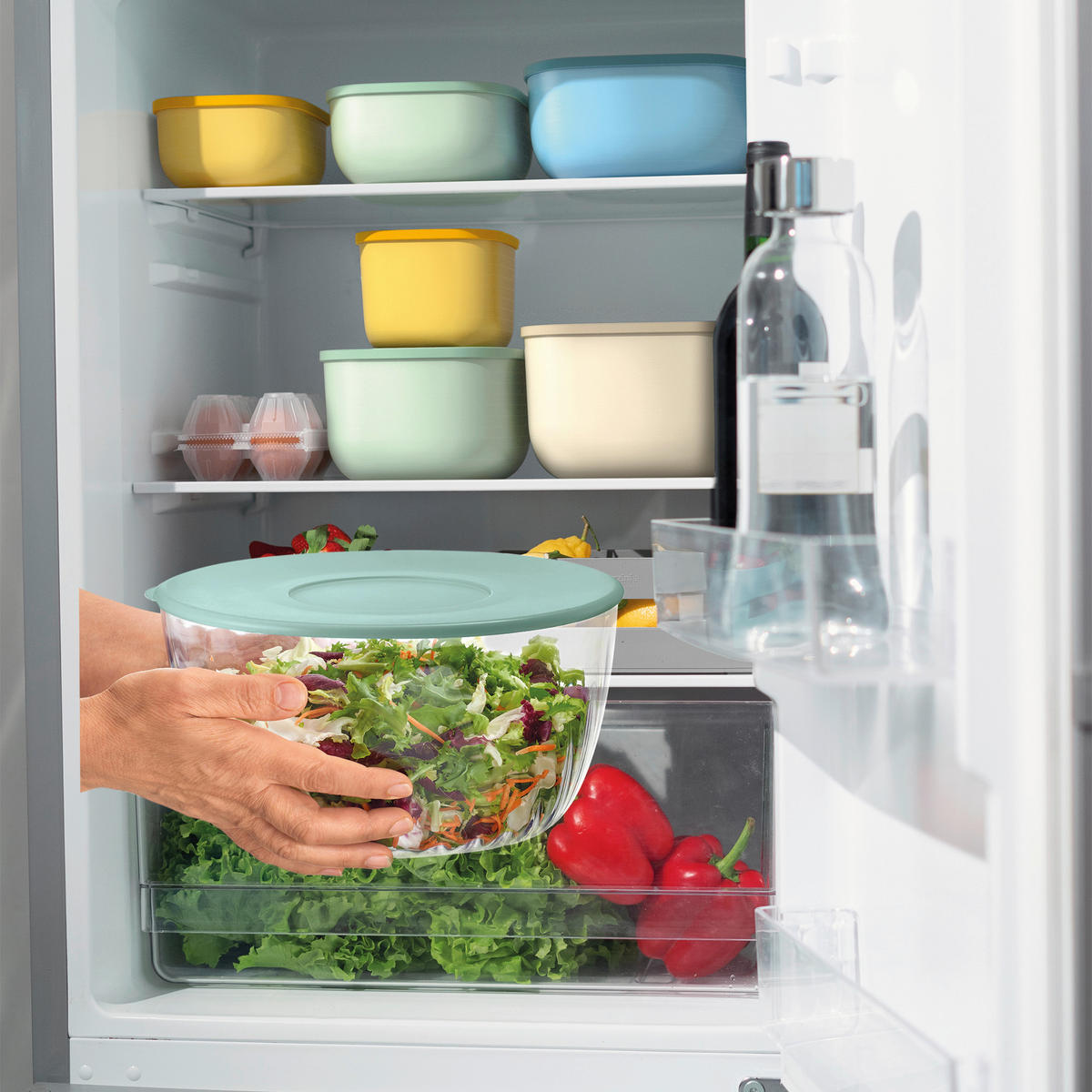 SALATSCHLEUDER Spin&Store  - Olivgrün, Basics (26cm) - GUZZINI