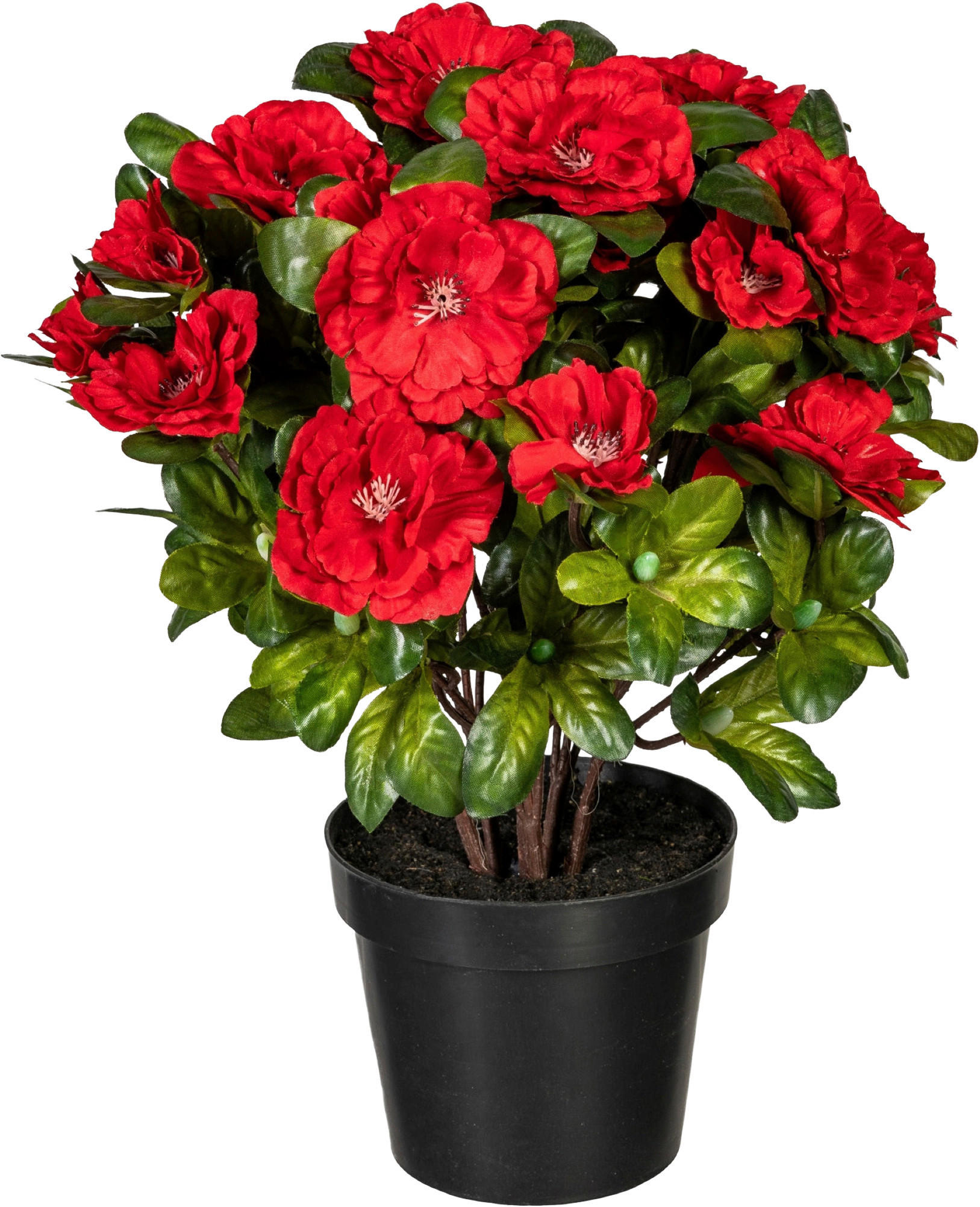 KUNSTPFLANZE Azaleen 32 cm  - Rot/Grün, Design, Kunststoff (32cm) - P & B