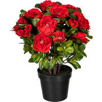 KUNSTPFLANZE Azaleen 32 cm  - Rot/Grün, Design, Kunststoff (32cm) - P & B