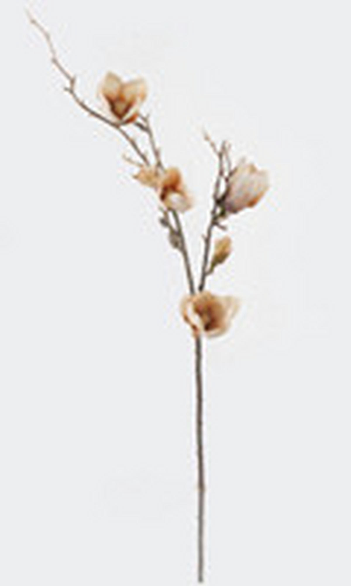 MŰNÖVÉNY - fehér/zöld, Basics, műanyag