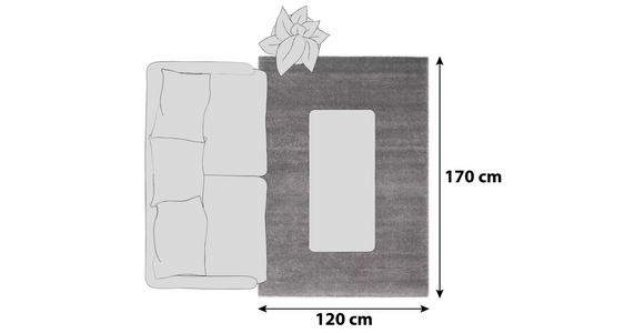 HOCHFLORTEPPICH 120/170 cm Bellevue  - Grau, Basics, Textil (120/170cm) - Novel