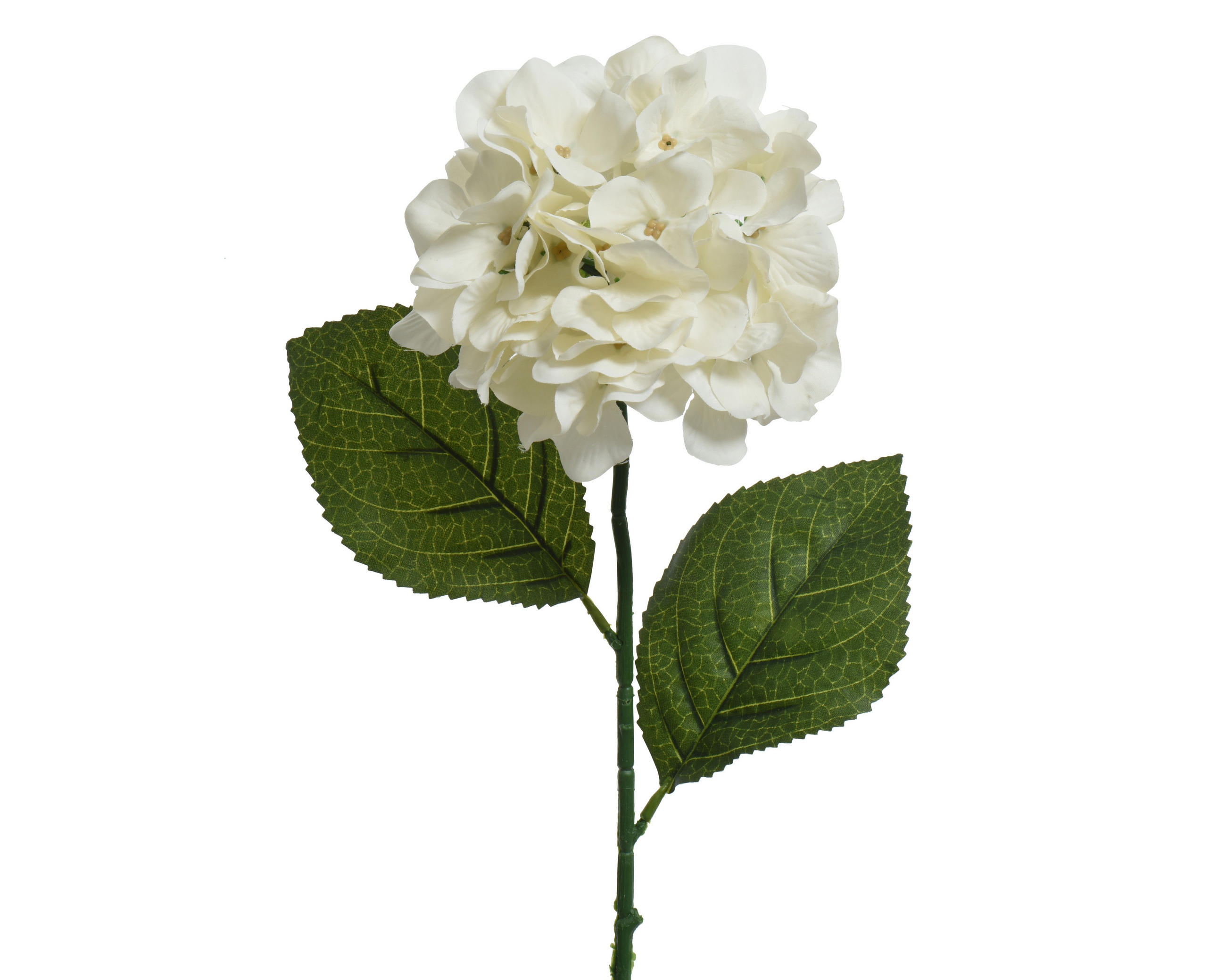 UMETNA ROŽA - bela, Basics, umetna masa (66cm)