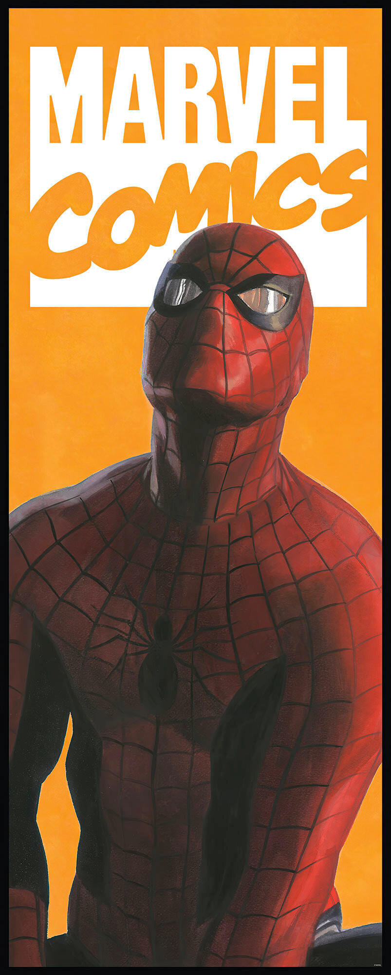Fototapete Spider-Man Comic