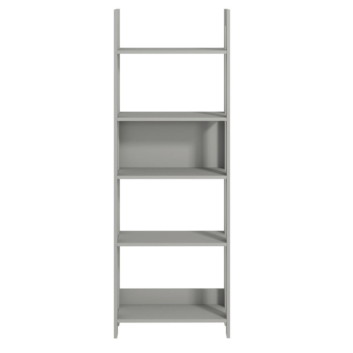 REGAL Grau  - Grau, Design, Holzwerkstoff (64/180/30cm) - Livetastic