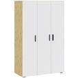 DREHTÜRENSCHRANK  in Weiß, Eiche Artisan  - Schwarz/Weiß, KONVENTIONELL, Holzwerkstoff/Kunststoff (111/179/52cm) - Carryhome