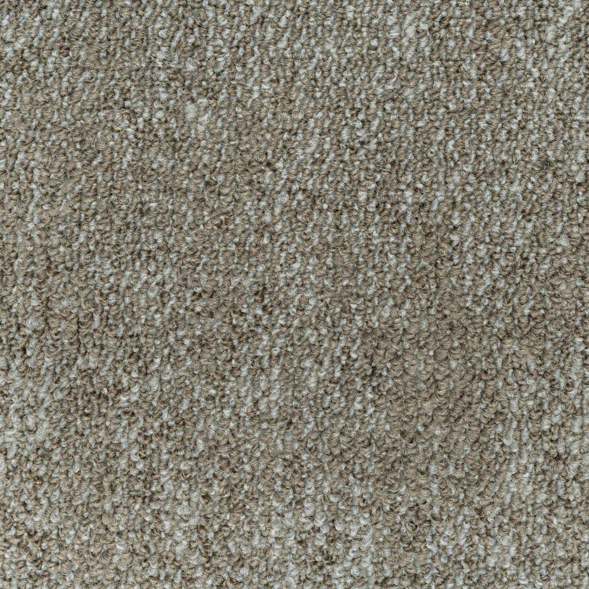 TEPPICHFLIESE 50/50 cm  in Graubraun  - Graubraun, Basics, Textil (50/50cm)