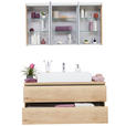 SPIEGELSCHRANK 120/66/15 cm  - MODERN, Glas/Holzwerkstoff (120/66/15cm) - Dieter Knoll