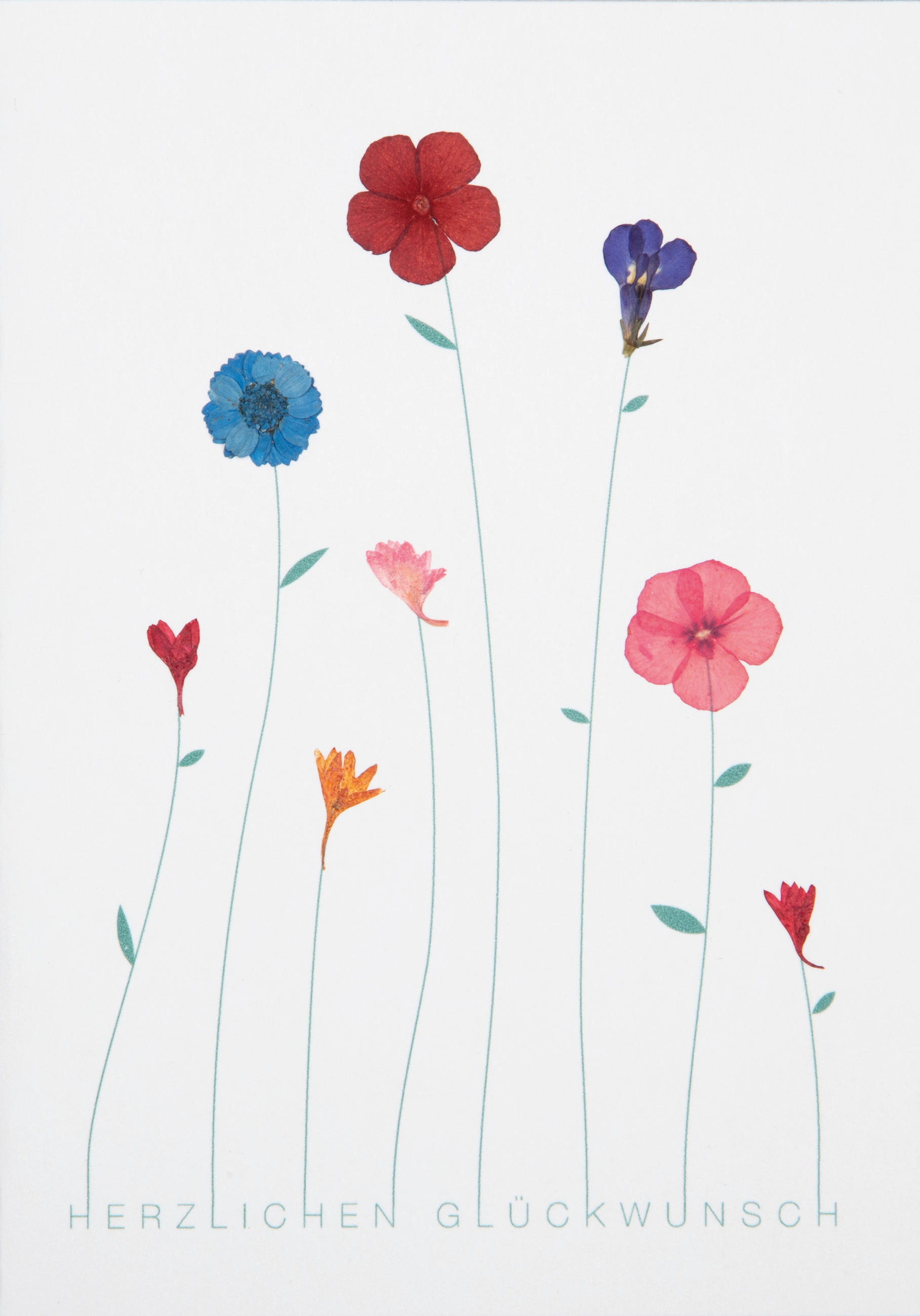 KARTE  - Design, Papier (17,60/12,20cm) - Räder