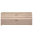 GARDEROBENBANK in 120/45/38 cm - Chromfarben/Eichefarben, Design, Kunststoff (120/45/38cm) - Voleo