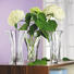 VASE - Klar, Basics, Glas (21cm) - Nachtmann